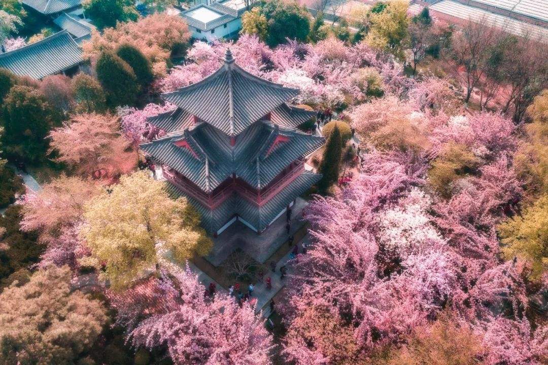 ◆西安青龍寺(密宗祖庭,AAA級旅游景區)